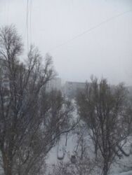 ������� �������� ��������, ���������, ������������, ������������� ���� 14