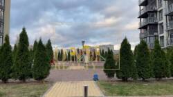 ����� ������ ������� �������� ���� 33