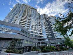 ������� �������� ������������, 2, ���, ���������� ���� 20