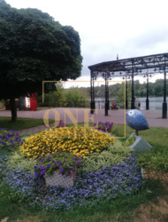 ✅ ������ 2-������� �������� | ������������ ������� 2/8 | ��� �� ������ � ����� ���� 19