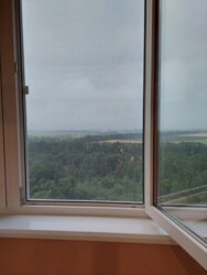 ������� �������� �����, �������, ������������ ���� 2