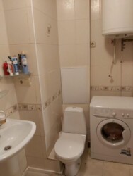 ������� �������� �����, �������, �������� ���� 12