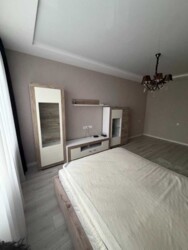 ������� �������� �����, �������, ����������� ���� 11