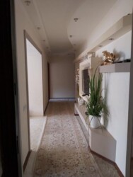 ������� �������� �����, �������, �������� ���� 11