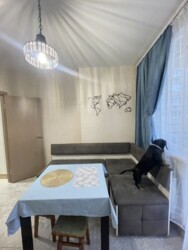 ������� �������� �����, �������, ������������ ���� 6