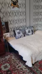 ���� ����������� �������� ���� 9