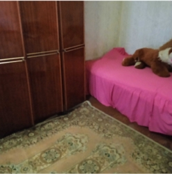 ���� 3�������� ��������. ���� 7