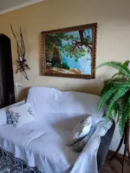 ������� �������� �� ��� ������ �� ������ �� ������ ���� (��. ������������ �����). ���� 14