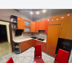 ������ ������� �������� � ����� ���� 11