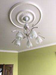 ������� �������� �����������, �����������, �����������, ����� ���� 12