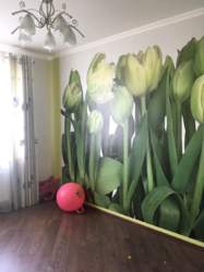 ������� �������� �����������, �����������, �����������, ����� ���� 16