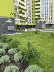 �������������/�����/���. ��������, 1� ���� 20