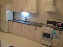 Здається квартира Київ, Вишняківська вул., 13 фото 2 Здається квартира Київ, Вишняківська вул., 13 фото 2