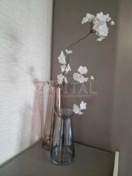 ������� �������� ���, �������������, ������������� �����. (��������), 77/1 ���� 8