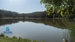 ������� �������� ����� �����., 54�, ���, ����������� ���� 16