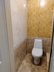 ������� �������� ������ ����������� ���. (���������), 25-�, ���, ������������ ���� 17