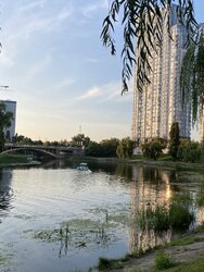 ������� �������� ��������� �����. (����'�������), 30, ���, ������������ ���� 12