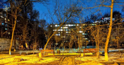 ������� �������� ��� ������� �����., 24, ���, ����������, �. ��������� ���� 20