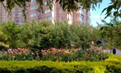 Здається квартира Київ, Голосіївський, Голосіївська вул., 13б, м. Деміївська фото 15 Здається квартира Київ, Голосіївський, Голосіївська вул., 13б, м. Деміївська фото 15