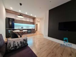 ������� �������� ����� �������� ���., 18�, ���, ���������� ���� 8