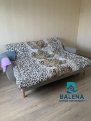 �����������/������������/����. ������������ 17/31� ���� 2