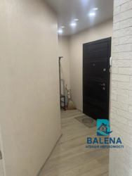 �����������/������������/����. ������������ 17/31� ���� 7