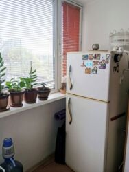 �����������/���������,2� ���� 13