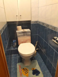 �������������/�����/���. �������, 8 ���� 8