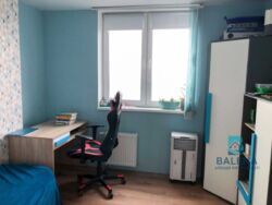 ������� �������� ���, ����������, ����쳿 ������������� ���., 15 ���� 7