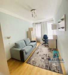 ������� �������� ������ ���������� ���. (�����), 33, ���, ���������� ���� 3