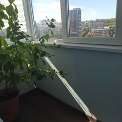 Здається квартира Київ, Оболонський, Бережанська вул., 14 фото 7 Здається квартира Київ, Оболонський, Бережанська вул., 14 фото 7