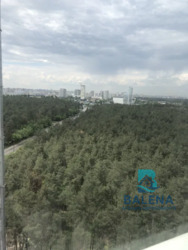 ����������/�����,3� ���� 14