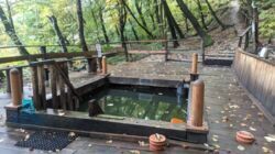 ������� �������� ����� �����., 54�, ���, ����������� ���� 19