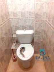 Оболонський/Героїв Дніпра/вул. Героїв Дніпра, 36Б фото 5 Оболонський/Героїв Дніпра/вул. Героїв Дніпра, 36Б фото 5