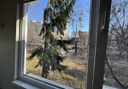 �����'�������/������������ ��������/���. �����������, 14�. ���� 2