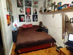 ������� �������� ������� ���., 19, ���, ������������, ���� ���� 1