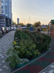 ������� �������� ��������� �����. (����'�������), 30, ���, ������������ ���� 14