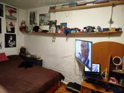 ������� �������� ������� ���., 19, ���, ������������, ���� ���� 2