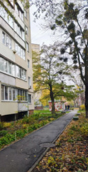 �����������/�������/��곿 �������,6� ���� 18