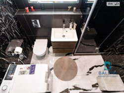 Здається квартира Київ, Шевченківський, Берестейський просп. (Перемоги), 5в фото 9 Здається квартира Київ, Шевченківський, Берестейський просп. (Перемоги), 5в фото 9