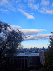 ������/������������/���. ��������, 13 ���� 13