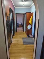 �������������/�����������/���. ���� �������, 17 ���� 13