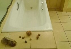 �����������/����������� �����/���. ���.�.���������� 34/1 ���� 12