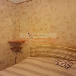 1 ��.�������� ��.˳�����, 17� ����� ˳���� ���� 7