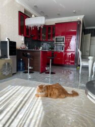 Здам 2к. квартира вул..Січових Стрільців 52а фото 12 Здам 2к. квартира вул..Січових Стрільців 52а фото 12