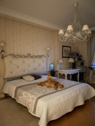Здам 2к. квартира вул..Січових Стрільців 52а фото 8 Здам 2к. квартира вул..Січових Стрільців 52а фото 8