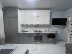 Кухня з побутовою технікою Львів кухня з холодильником, духовкою та посудомийкою