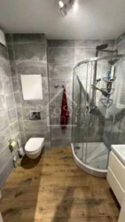 ������� �������� �������� ������������� �����, 41�, ���, ����������, ���������� ���� 8