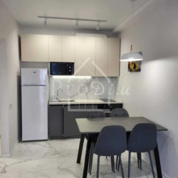 ������� �������� ������� ����������� ���. (������ ��������), 24, ���, �����������, �������, �. ������������ ���� 8