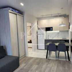 ������� �������� ������� ����������� ���. (������ ��������), 24, ���, �����������, �������, �. ������������ ���� 7